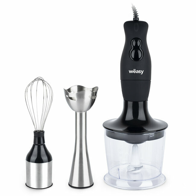 3 in 1 Stabmixer